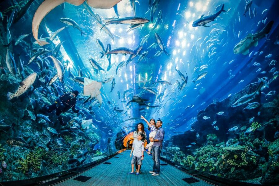 Dubai Aquarium and Underwater Zoo - Dubai Aquarium and Underwater Zoo: Compare Prices & Deals