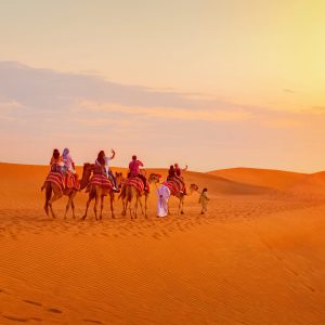 Caravan,With,Group,Of,Tourists,Riding,Camels,Through,Dubai,Desert